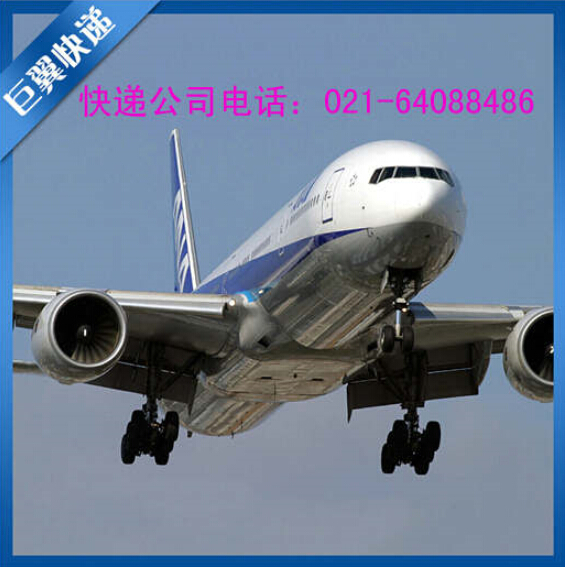 選擇我、就是邁向成功，TNT上海直飛國際貨運(yùn)！