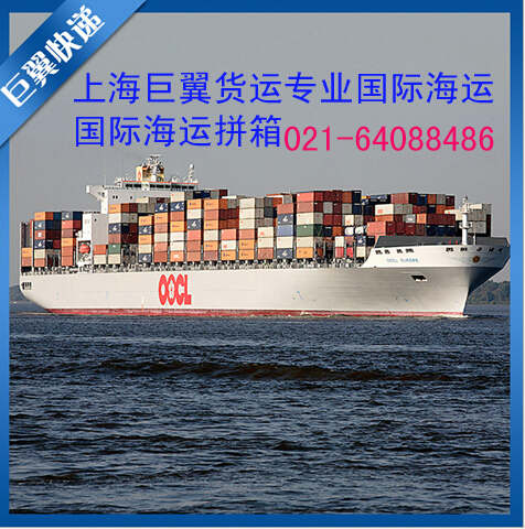 茶葉國(guó)際快遞就找上海巨翼！